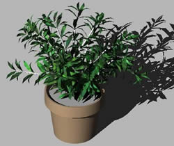 Planta con maceta 3d