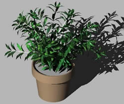 planta em vaso 3d