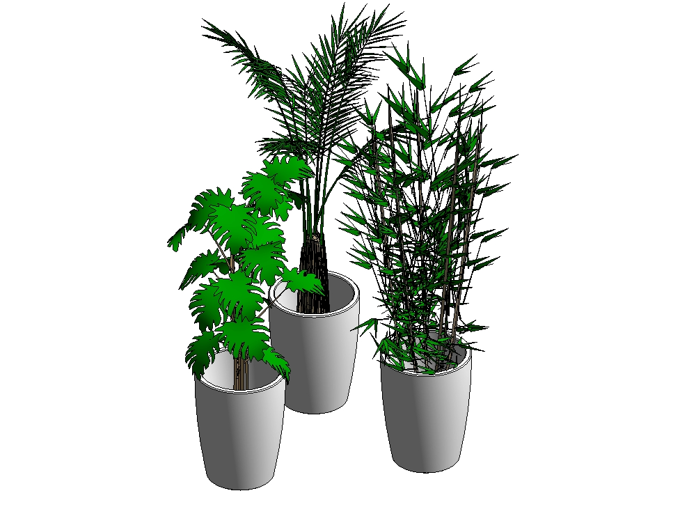 Vaso con tre diversi tipi di piante