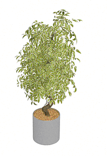3d flowerpot - indoor bush