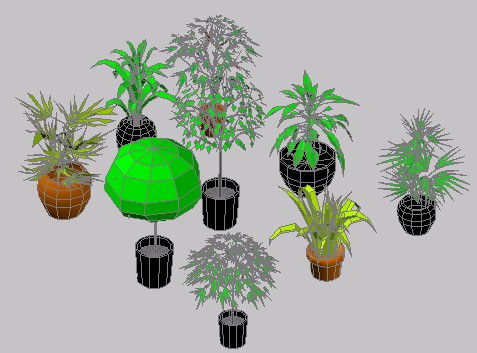 Plantas de interior 3d