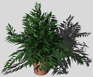 3d indoor plants