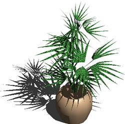 Plantas de interior 3d