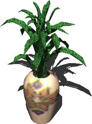 3d indoor plants