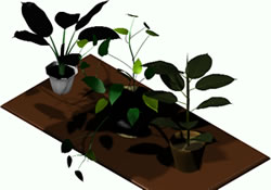 Plantas 3d