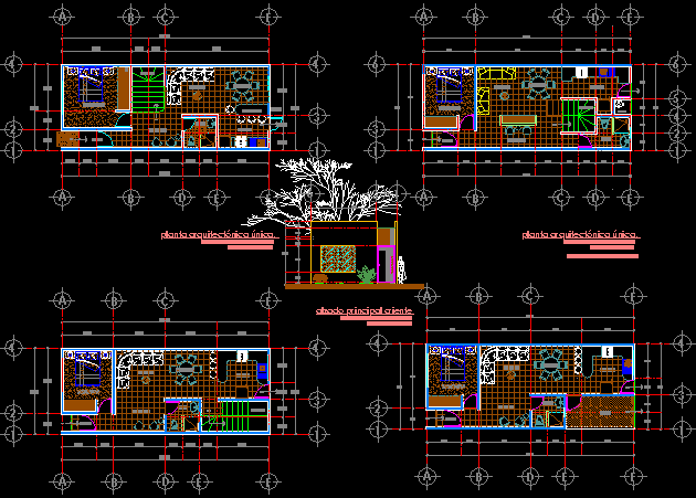 Vivienda de 5.00 x 12.00 mts. en una planta