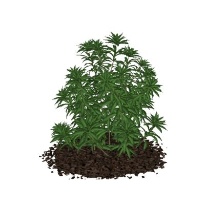 Plantas para jardines 3d de alta definicion