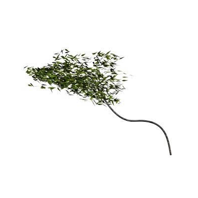 bamboo mosso