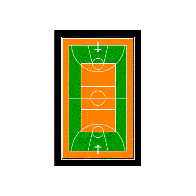 multifunctional court