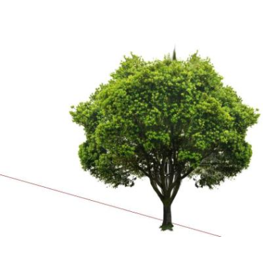 3d tree skp