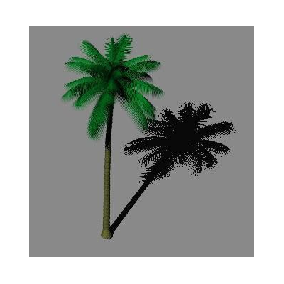 Palmera 3d