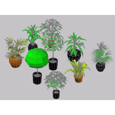 Plantas de interior 3d