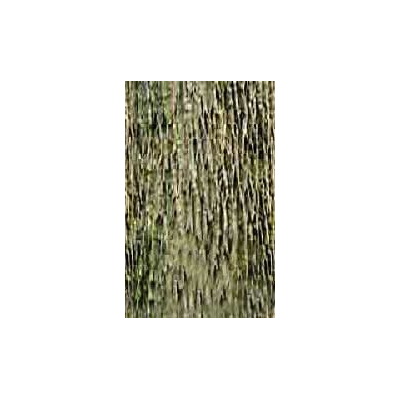 Texture naturale della corteccia
