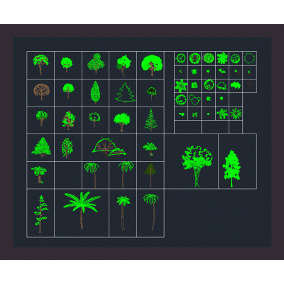 Arboles y arbustos