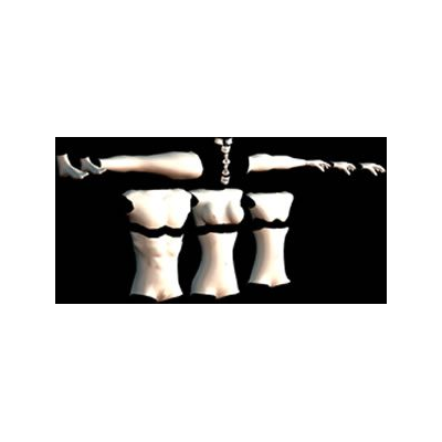 Modelos Anatomicos en 3D