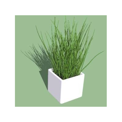Planta 3d