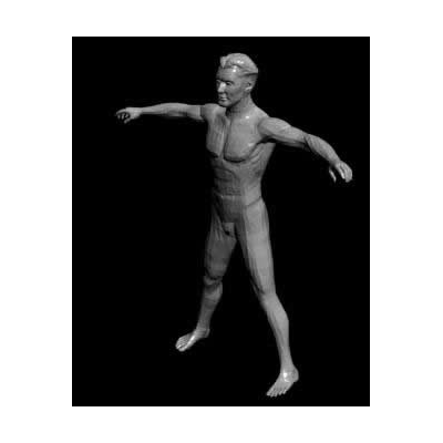 Figura Humana 3D
