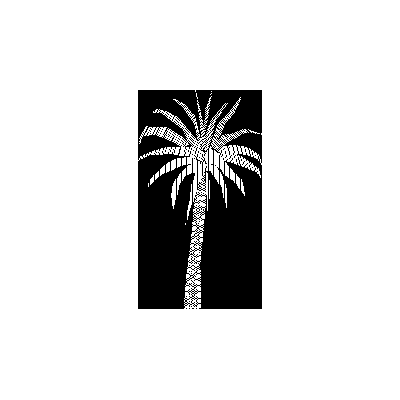 Elegante Palmera al Alzado
