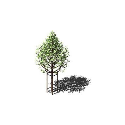 Natural elegance in 3D