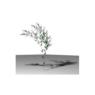 Arbusto 3d