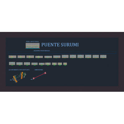Puente zaraga - surumi