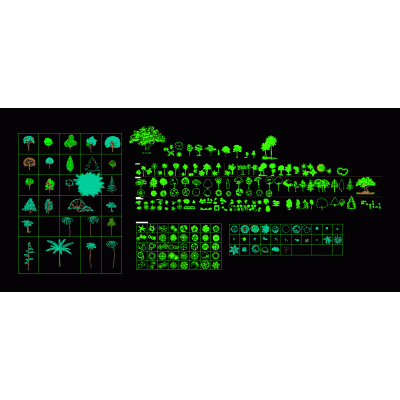 Vegetacion