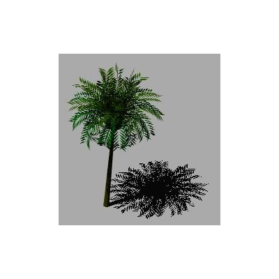 Palmera