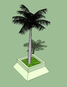 palmier sur socle