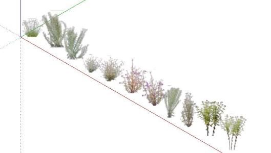 3D-Vegetation