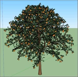 3D-Orangenbaum