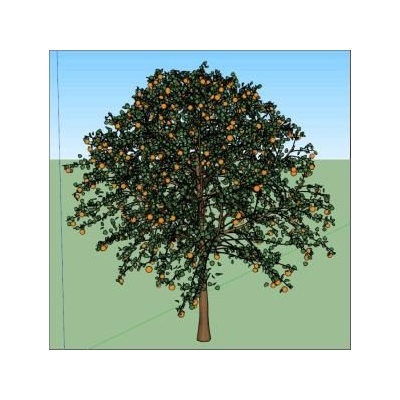 3d orange tree