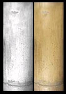 Textura tronco de bambu