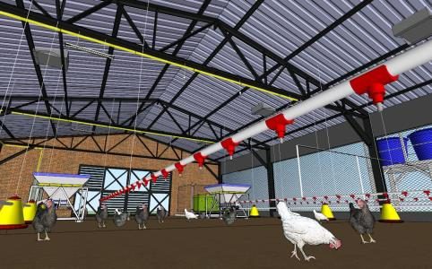 Hangar d'alimentation de poulet