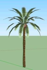 3d palm tree