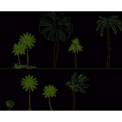 Palmeras y cocoteros