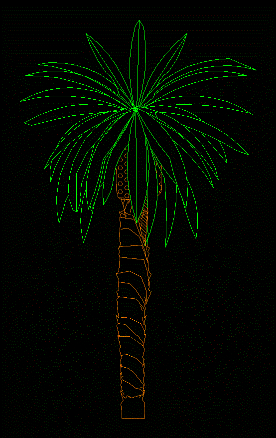 palm tree 01