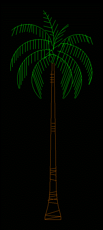 palm tree 04