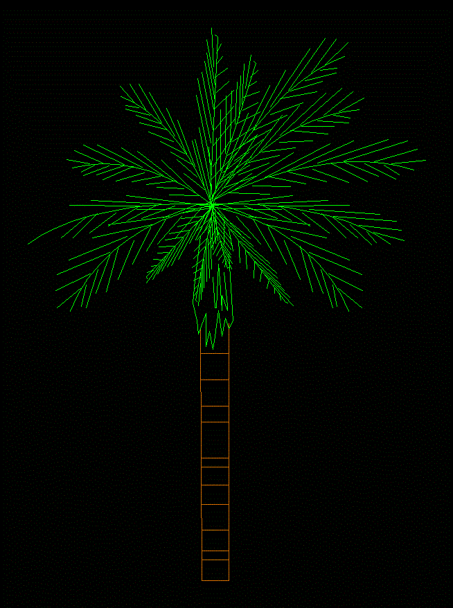 palm tree 05