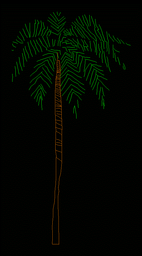 palm tree 06
