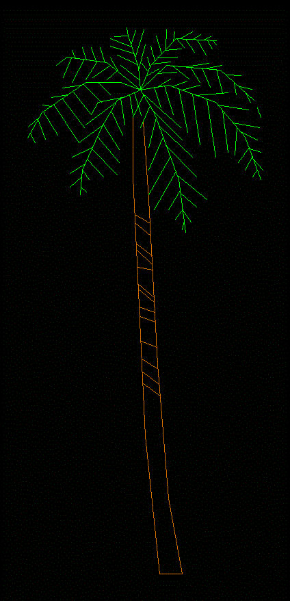 palm tree 08