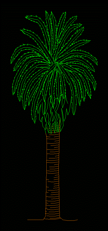 palm tree 09