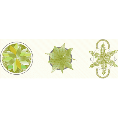 Macetas con plantas de sombra (planta)
