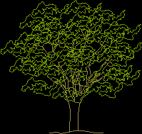 árvore de tamanho médio