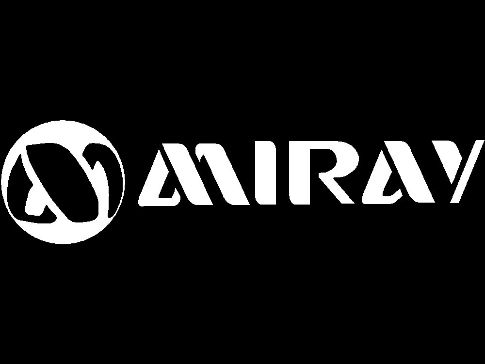Entwicklung eines aktualisierten Logos für den Miray Store