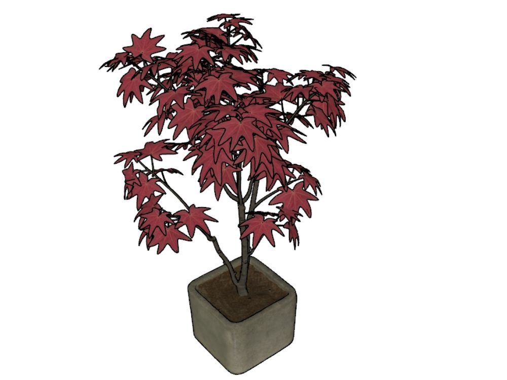 Plant with pot for red sketchup
