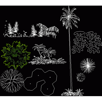 Arboles en 2d