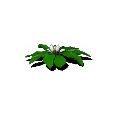 Flor 3d