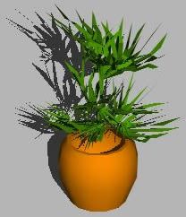 pianta con vaso
