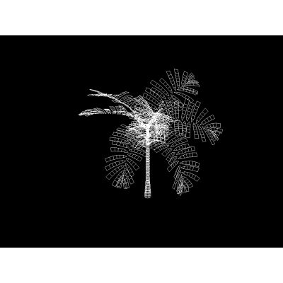 Palmera Exotica en 3D