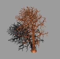Tree without foliage 3d